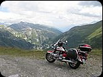 Freebiker