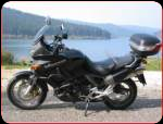 Freebiker
