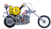 bike006